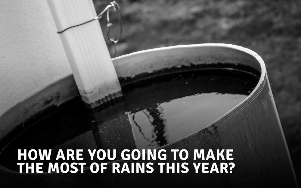 Rainwater Harvesting - A practice that India cannot overlook anymore Rainwater Harvesting - A practice that India cannot overlook anymore